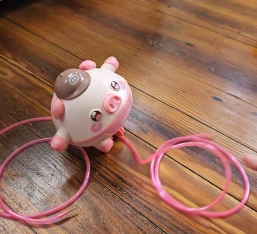Tightrope Walking Tumbler Pig Walking Tightrope for Children.